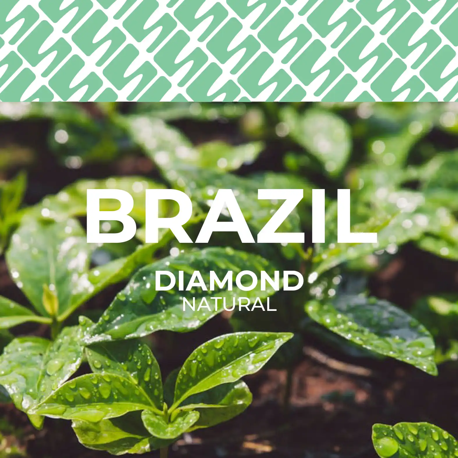Brazil - Diamond