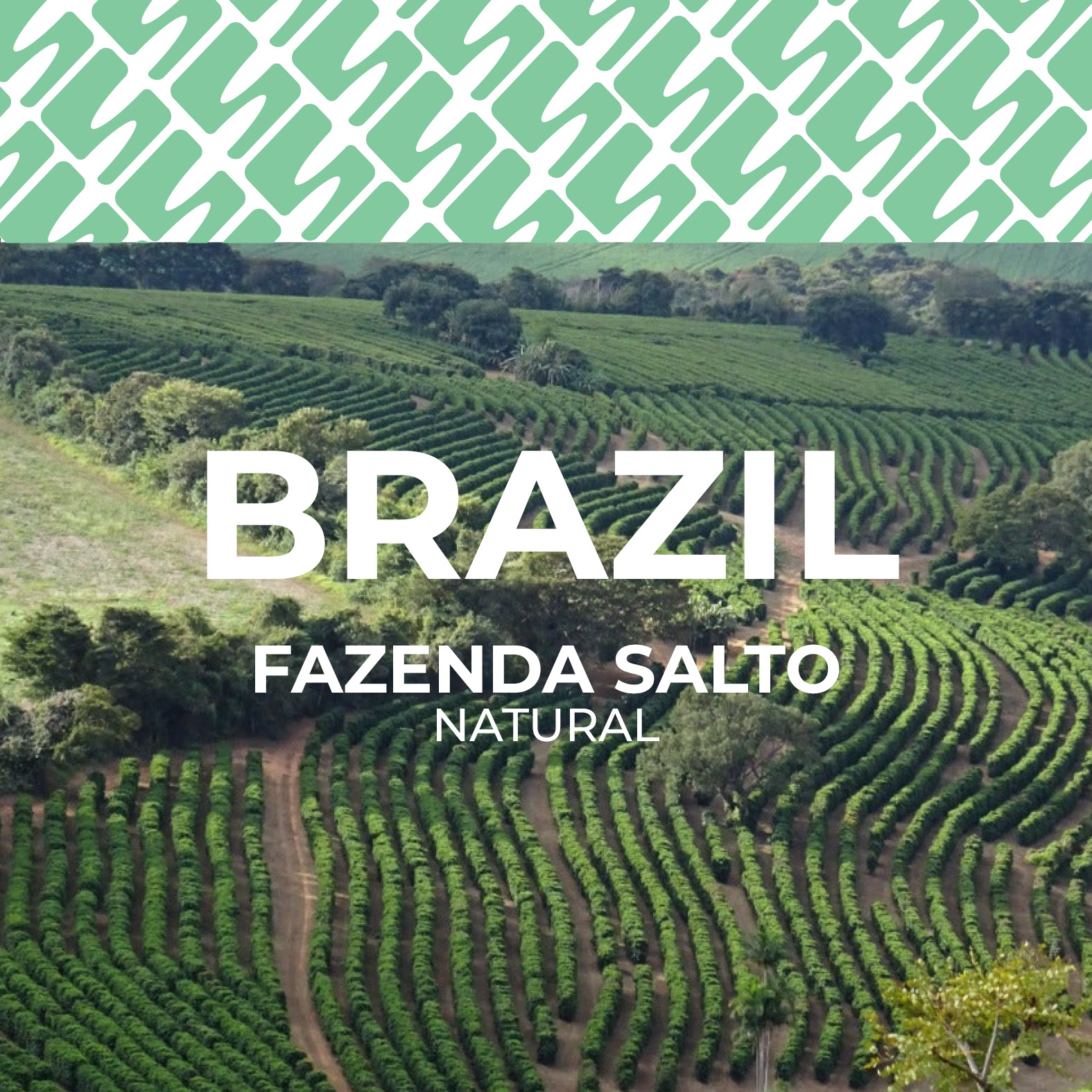 Brazil - Fazenda Salto