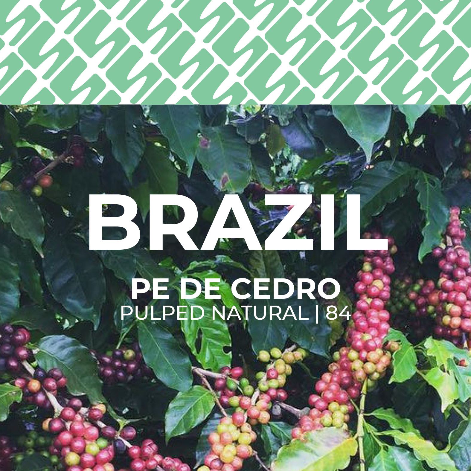 Brazil - Pe de Cedro