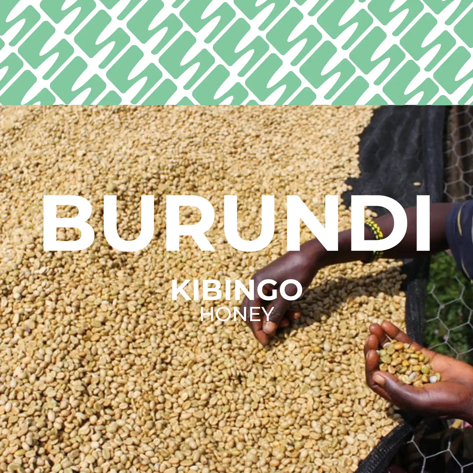 Burundi - Kibingo