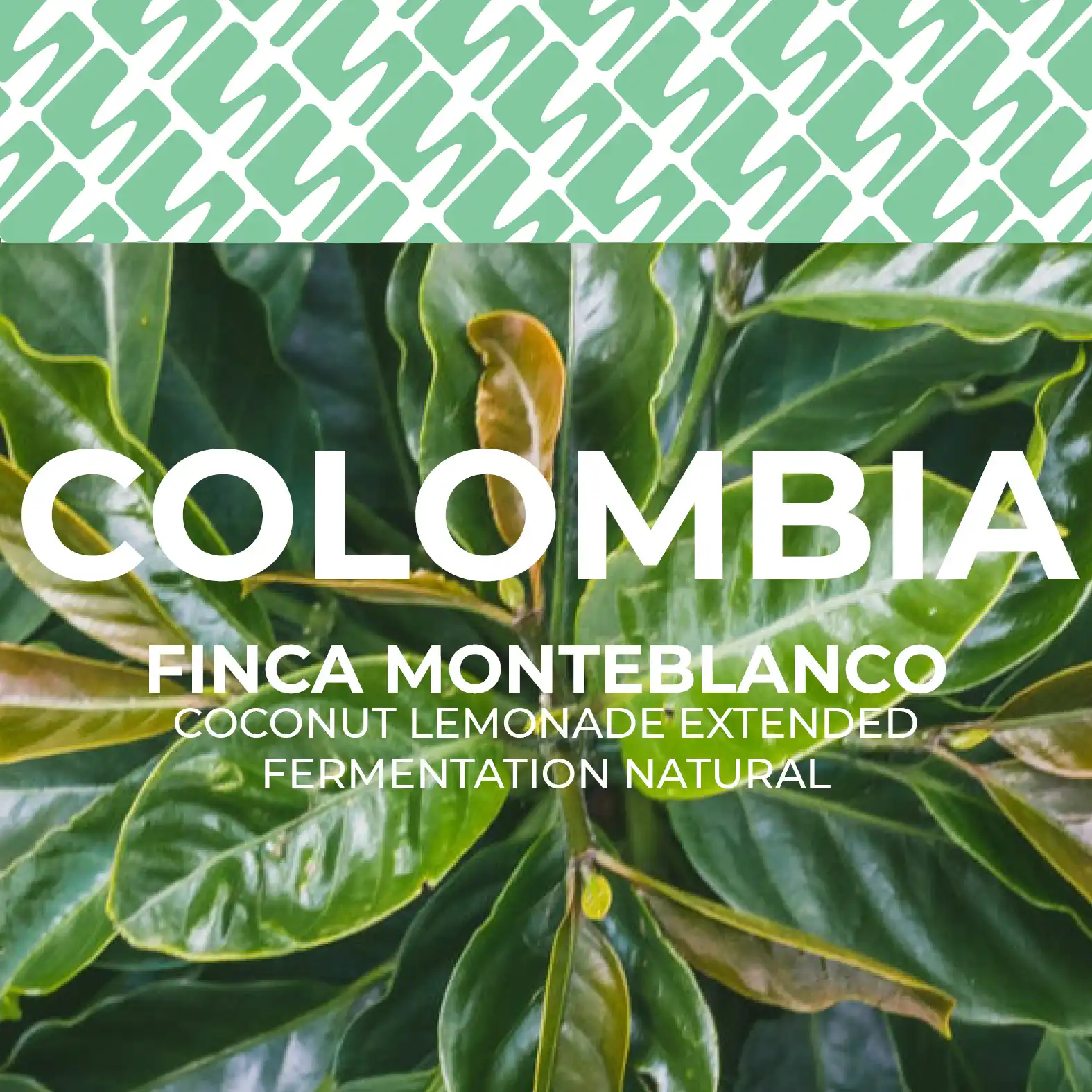 Colombia - Monteblanco Natural Coconut Lemonade
