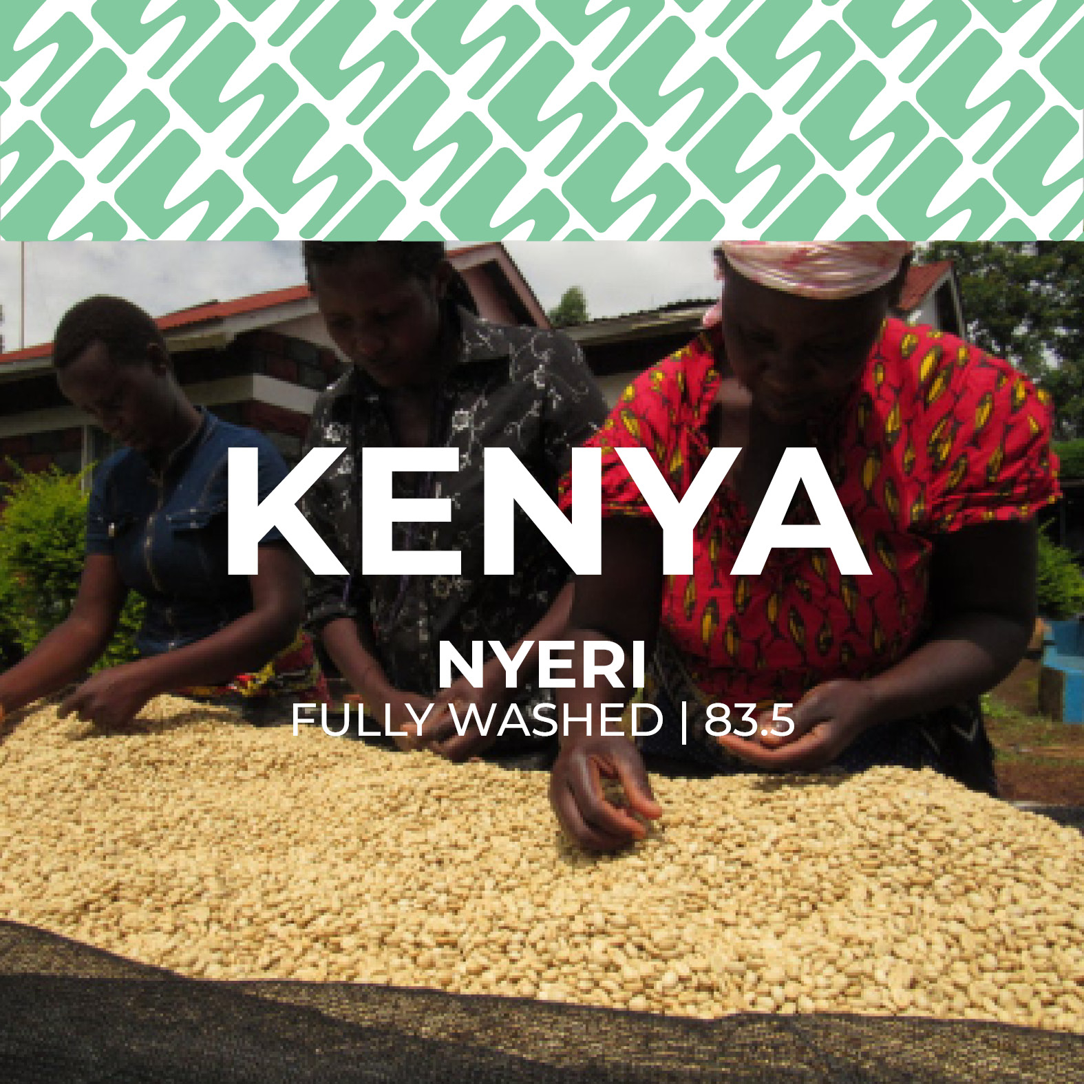 Kenya - Nyeri