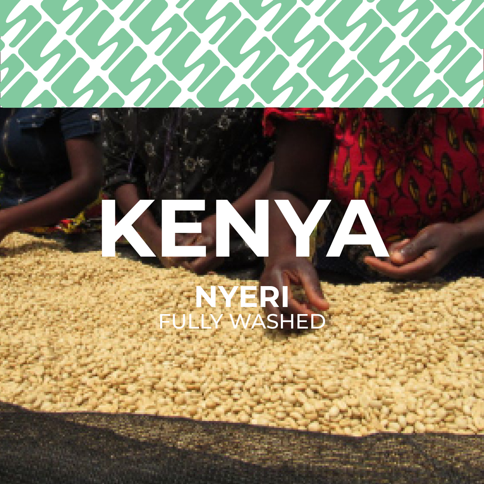 Kenya - Nyeri
