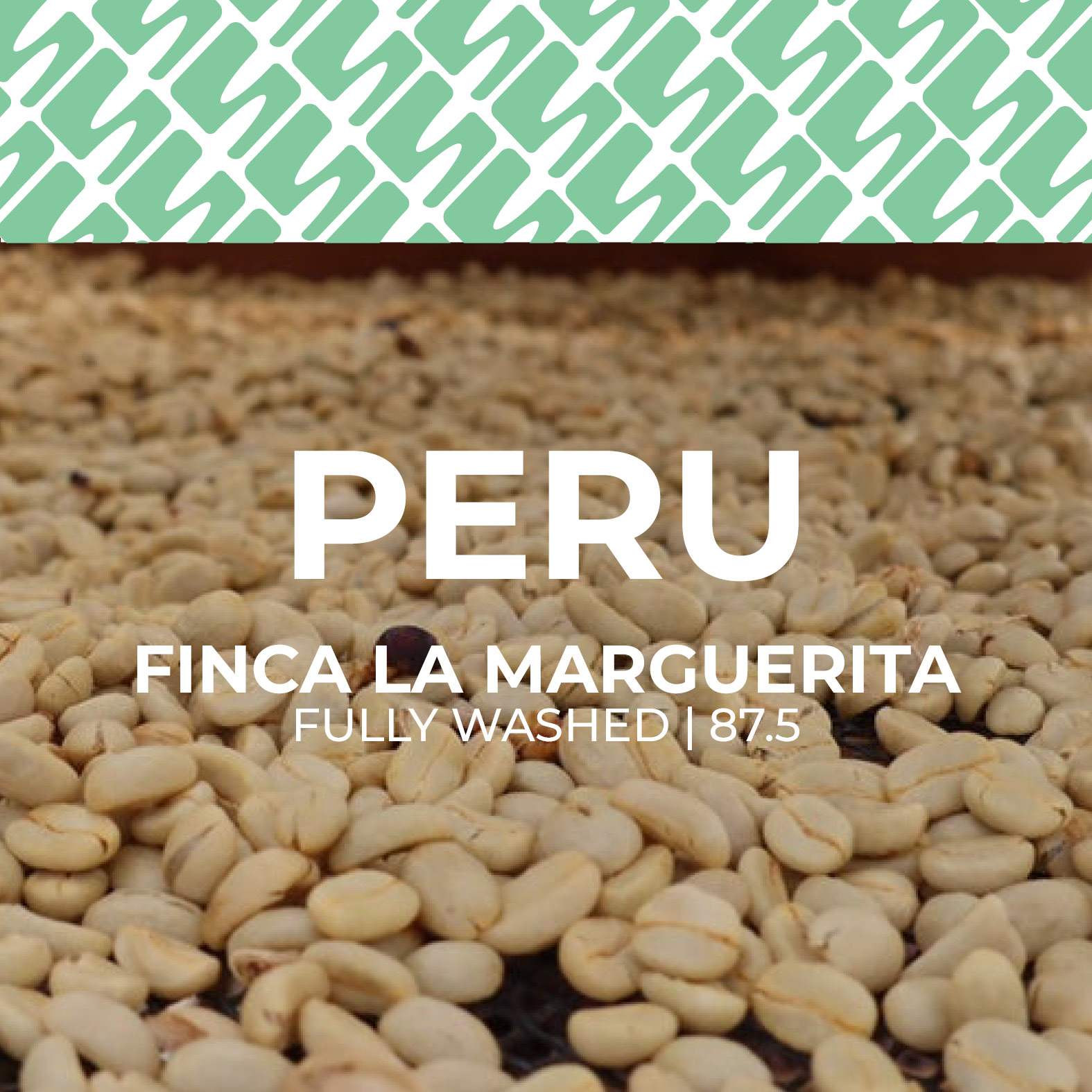 Peru - Finca La Marguerita