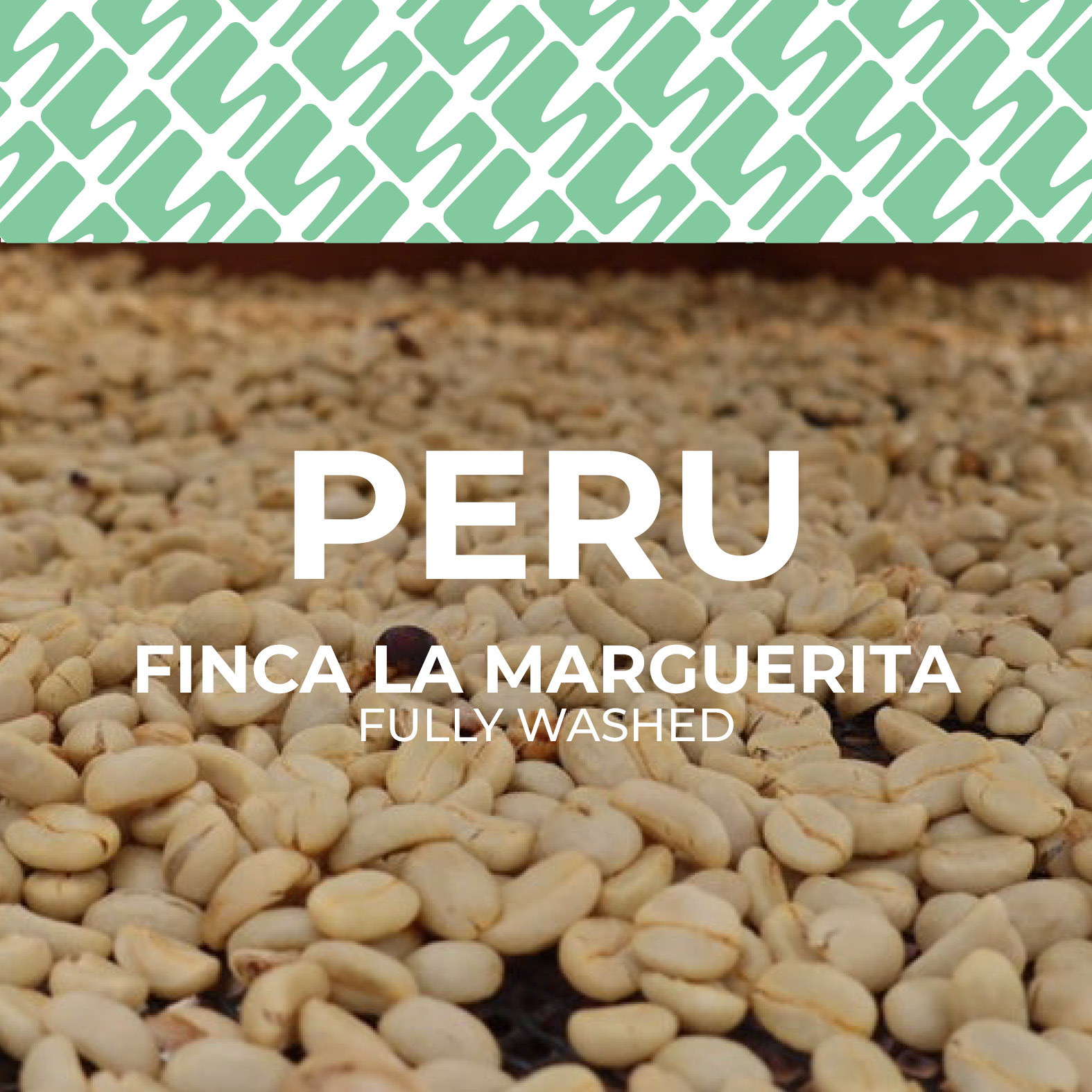 Peru - Finca La Marguerita