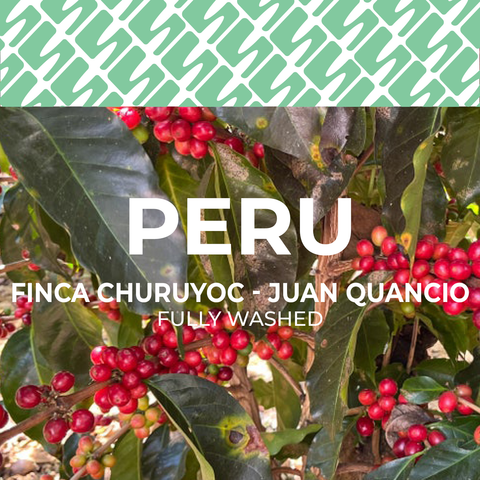 Peru - Finca Churuyoc Juan Quancio