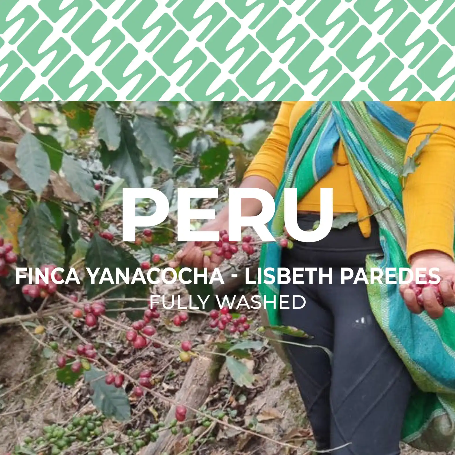 Peru - Finca yanacocha Lisbeth Paredes