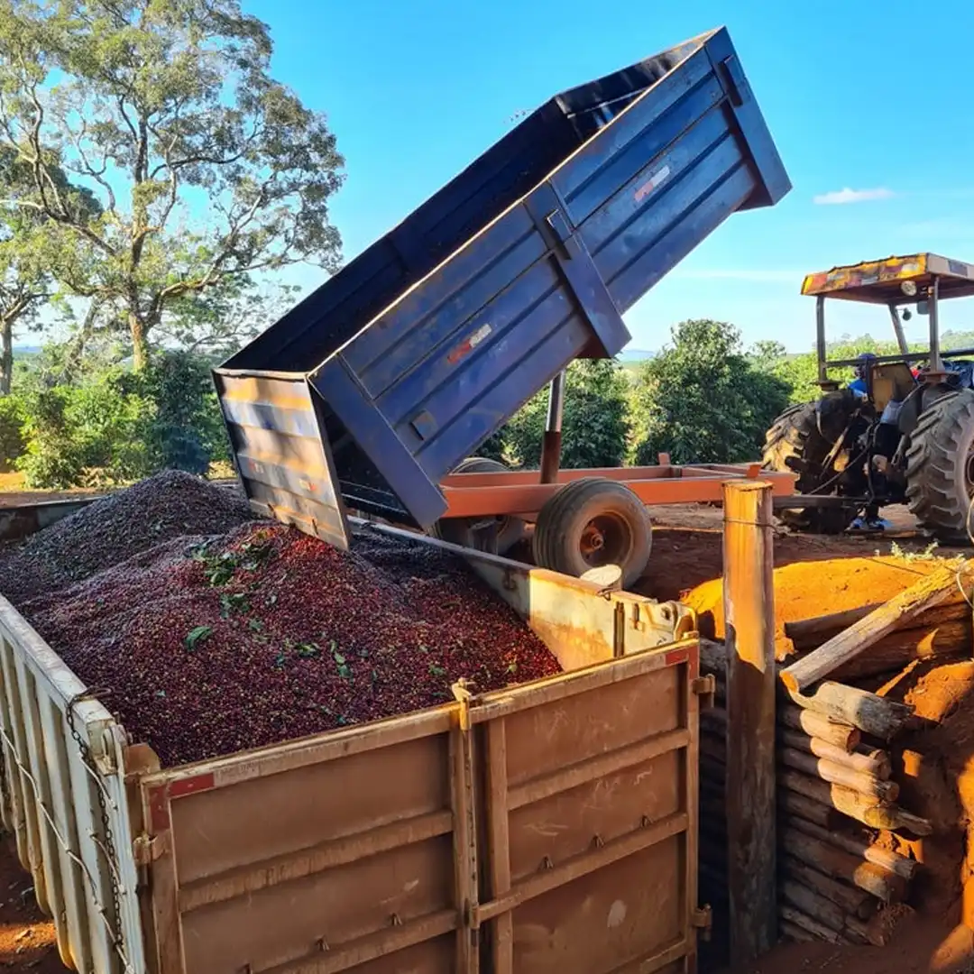 Brazil - Fazenda Salto