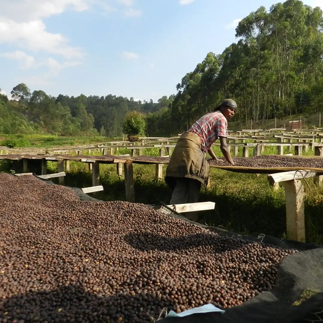 Burundi - Gahahe