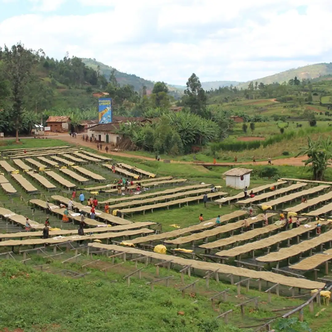 Burundi - Kibingo