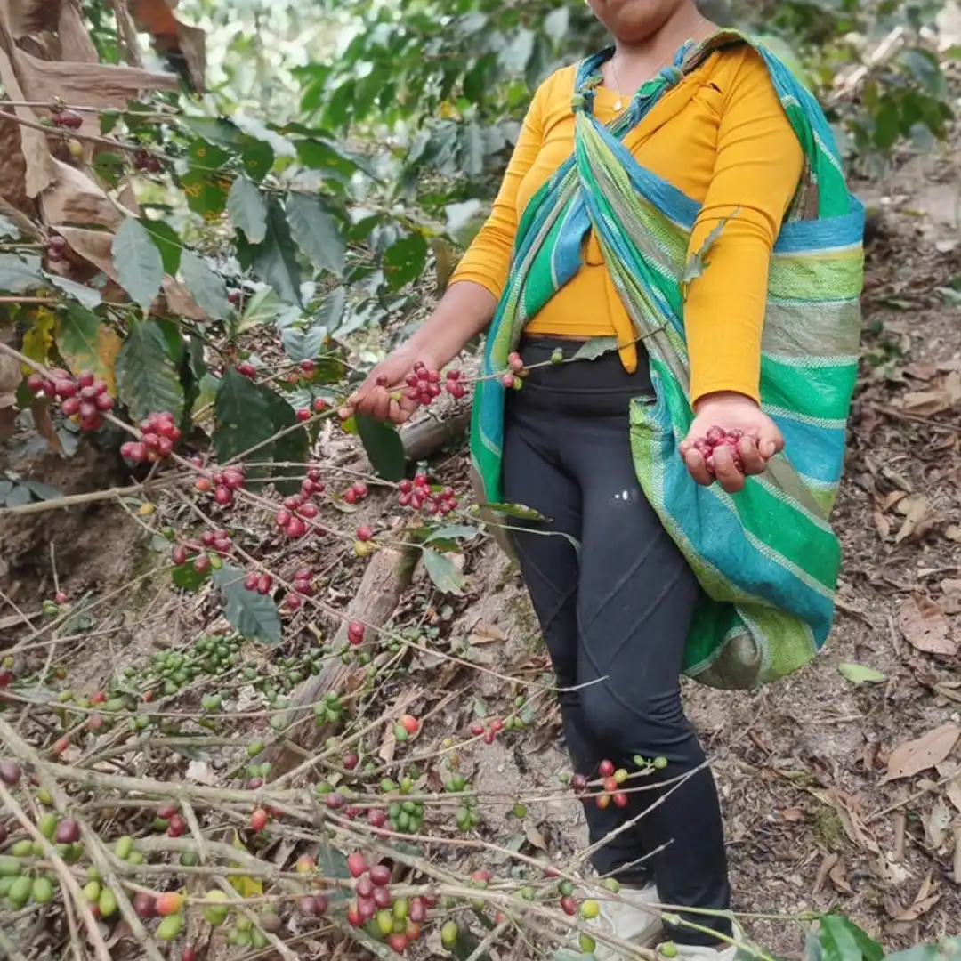Peru - Finca yanacocha Lisbeth Paredes