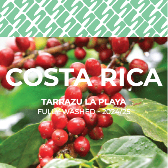 11 Costa Rica - Tarrazu La Playa