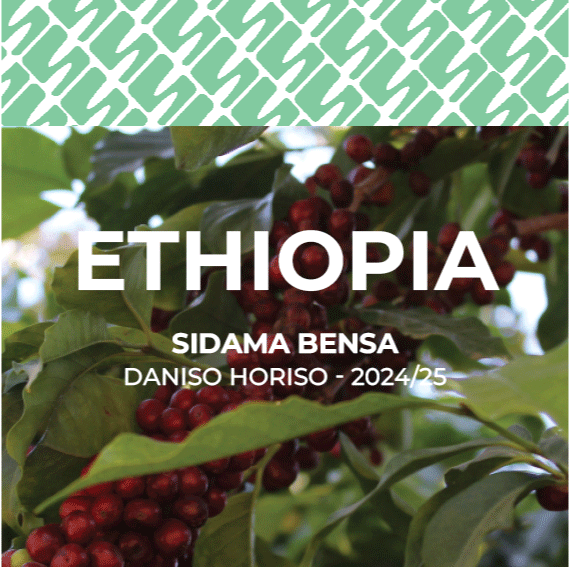 13 Ethiopia - Lalisaa Sidama Bensa