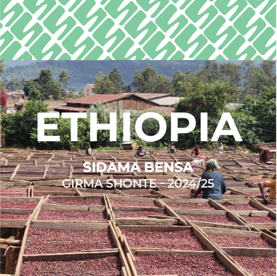 14 Ethiopia - Lalisaa Sidama Bensa