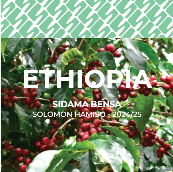 15 Ethiopia - Lalisaa Sidama Bensa