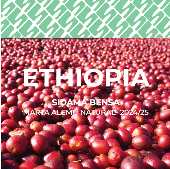 16 Ethiopia - Lalisaa Yirgacheffe
