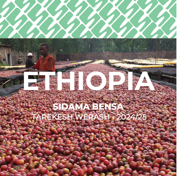 17 Ethiopia - Lalisaa Yirgacheffe Gedeb