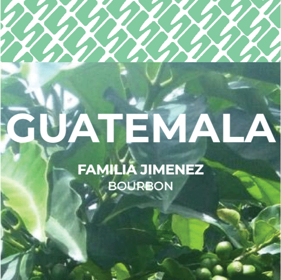 19 Guatemala - Familia Jimenez
