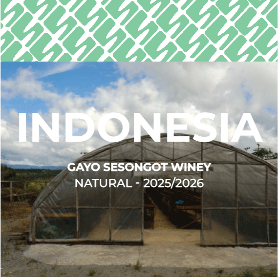 20 Indonesia - Gayo Sesongot winey