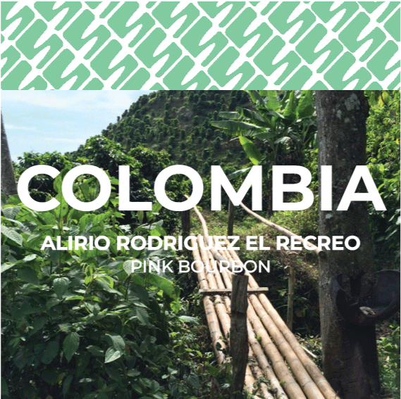 5 Colombia - Alirio Rodriguez El Recreo