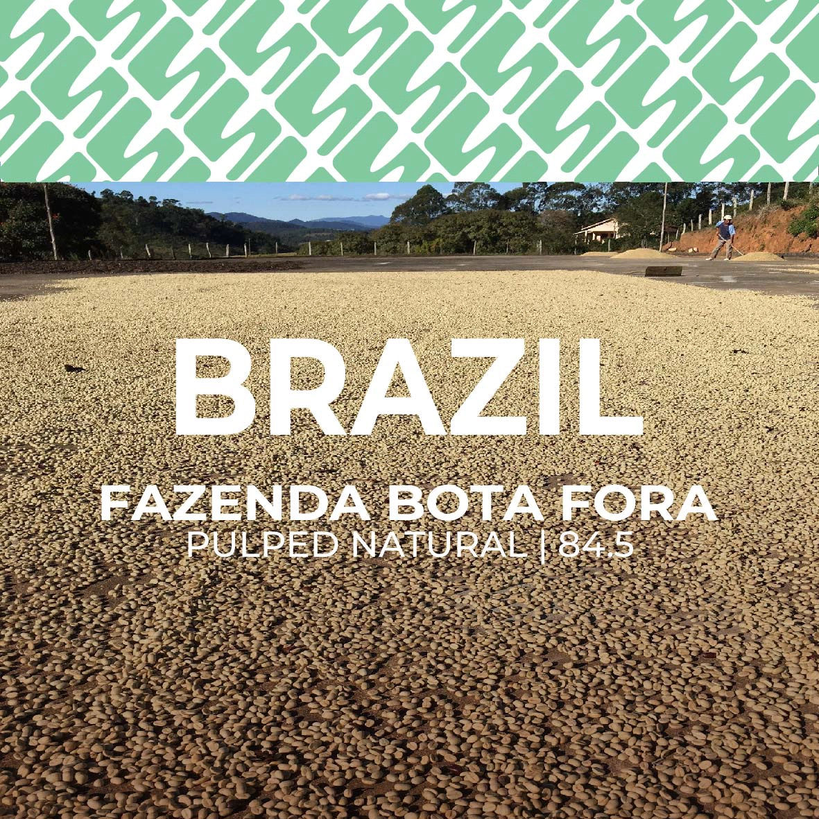 Brazil - Fazenda Bota Fora