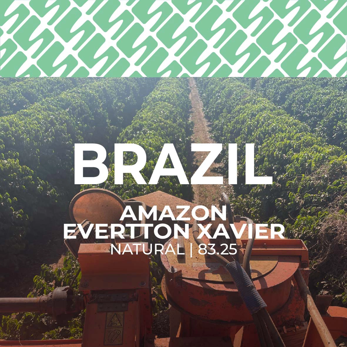 Brazil - Amazon Evertton Xavier