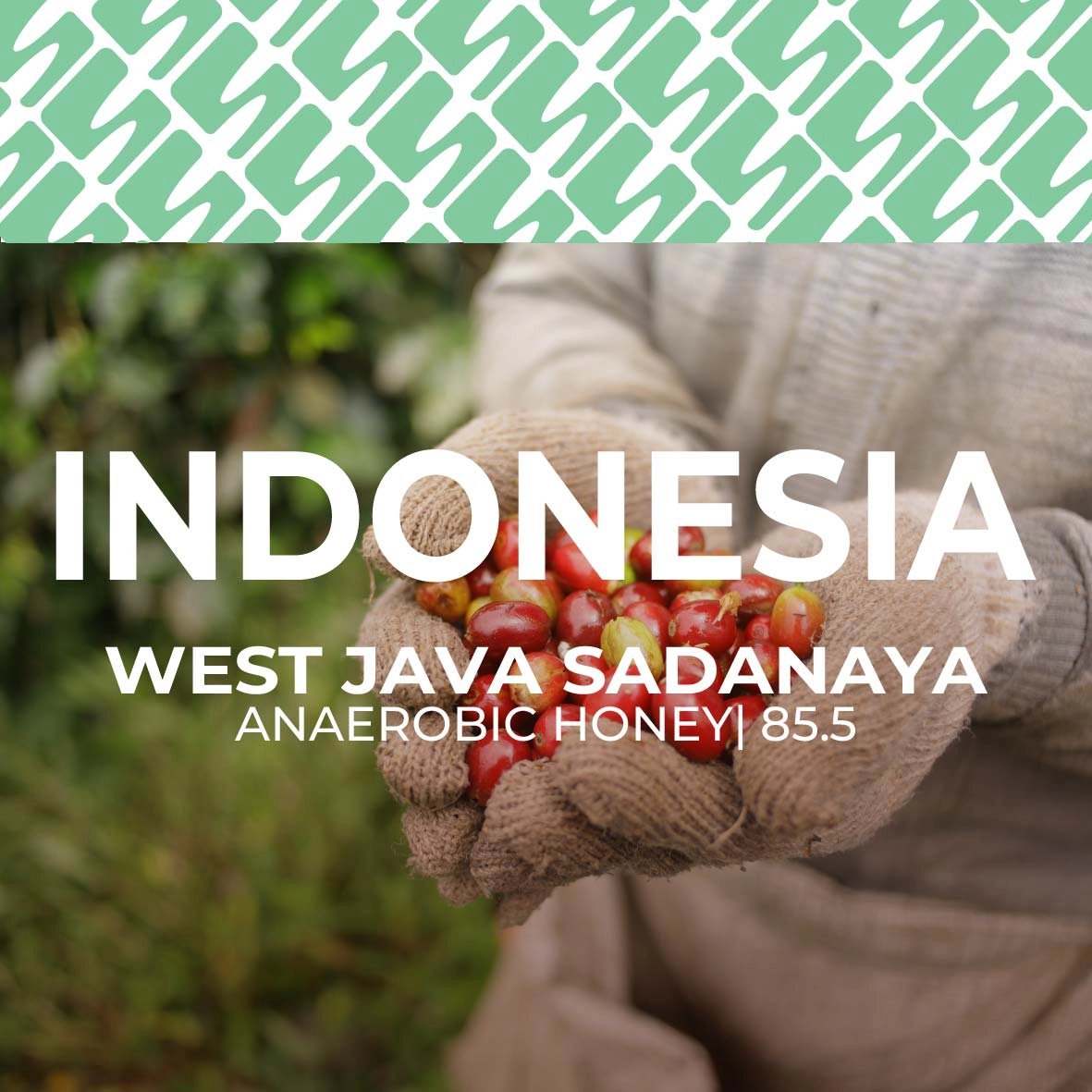 Indonesia - West Java Sadayana