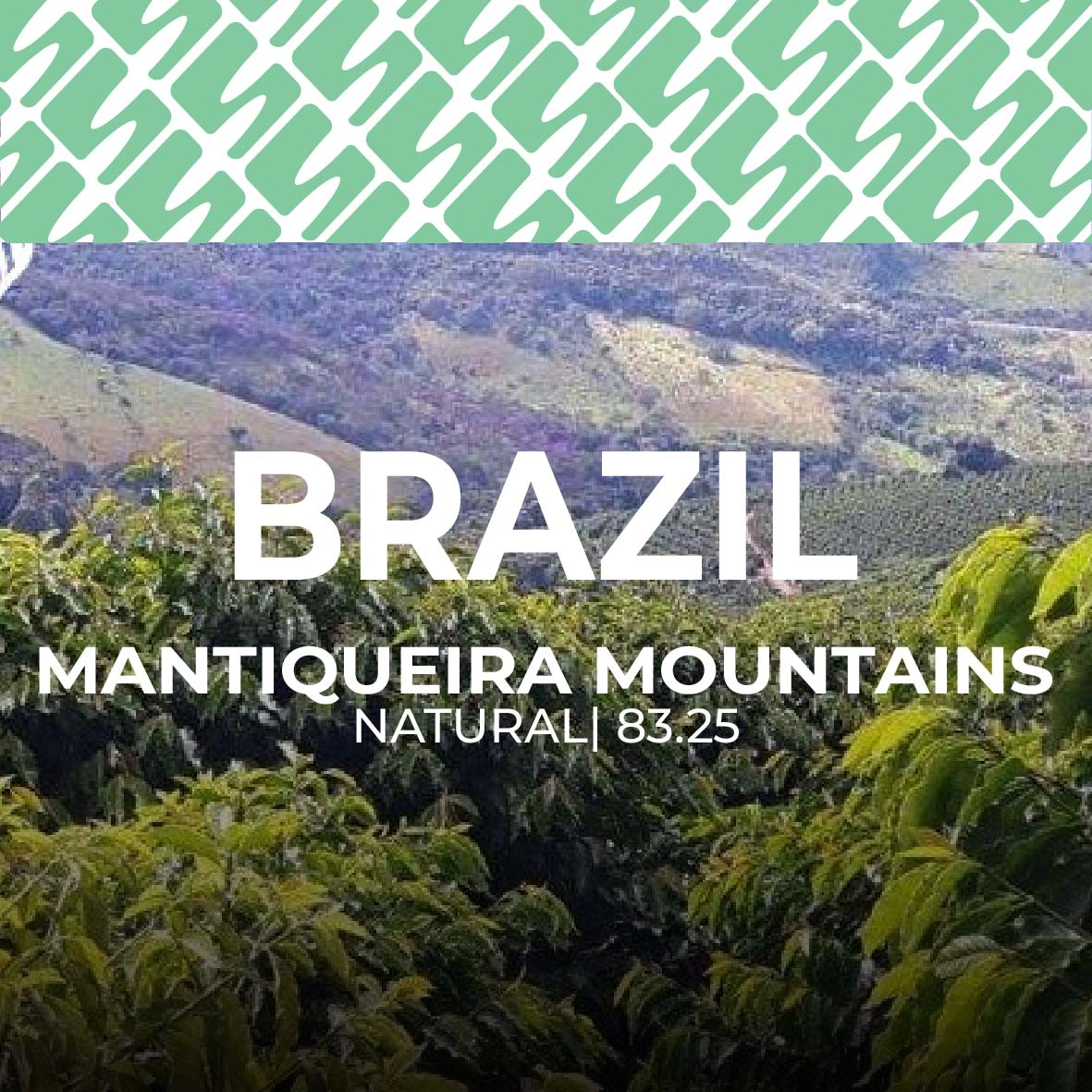 Brazil - Mantiqueira Mountains