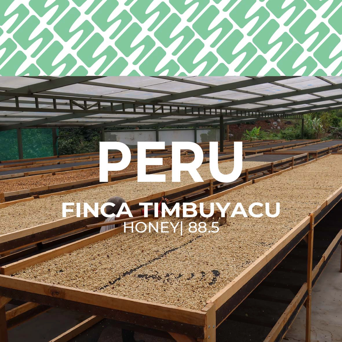 sucasu coffee covers-06 Peru - Finca Timbuyacu