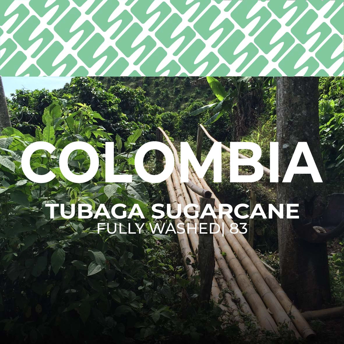 sucasu coffee covers-08 Colombia - Tumbaga Sugarcane