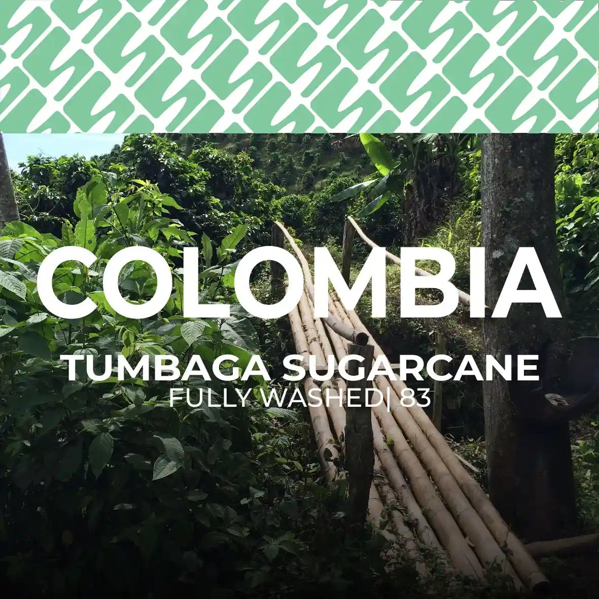 Colombia - Tumbaga Sugarcane
