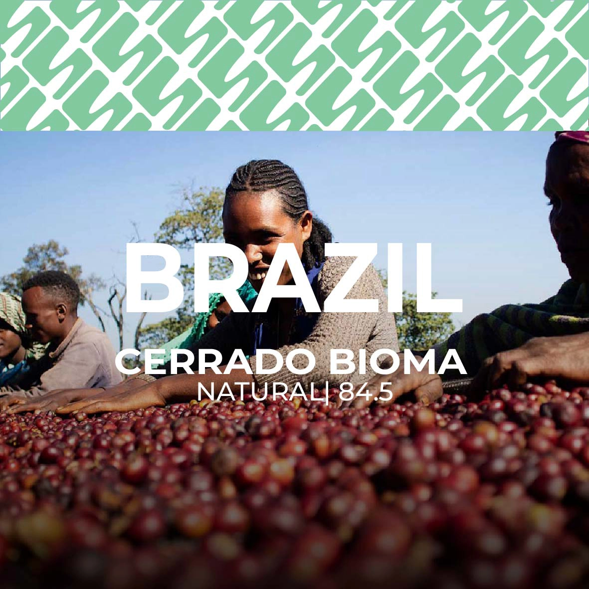 Brazil - Cerrado Bioma