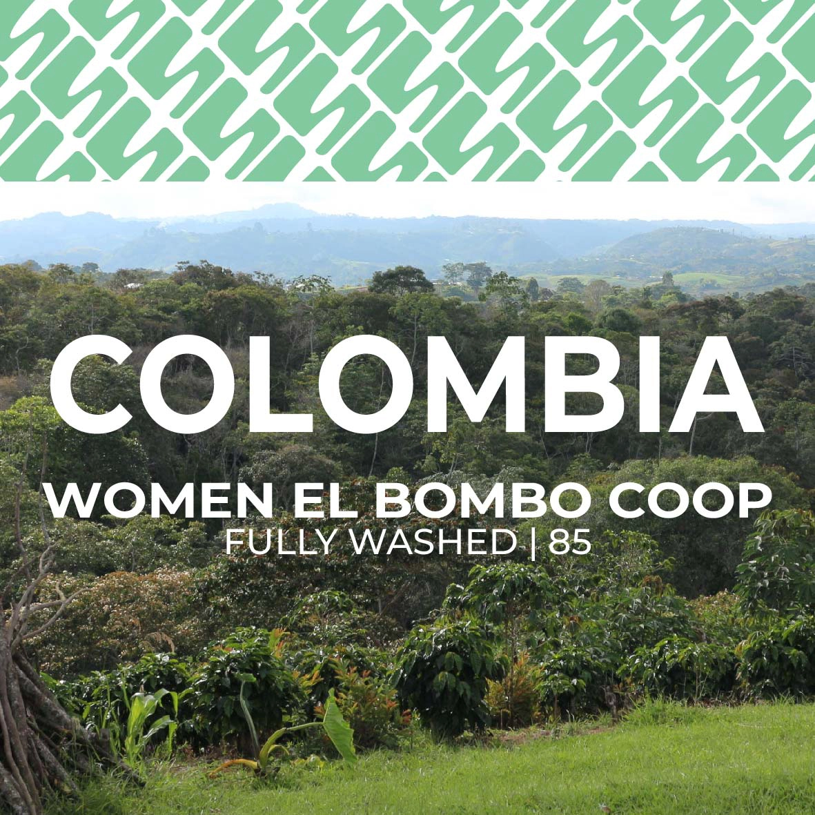 sucasu coffee covers-10 Colombia - Women El Bombo Coop