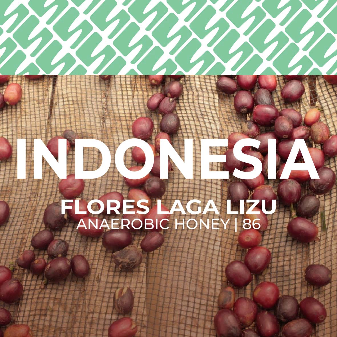 sucasu coffee covers-12 Indonesia - Flores Laga Lizu