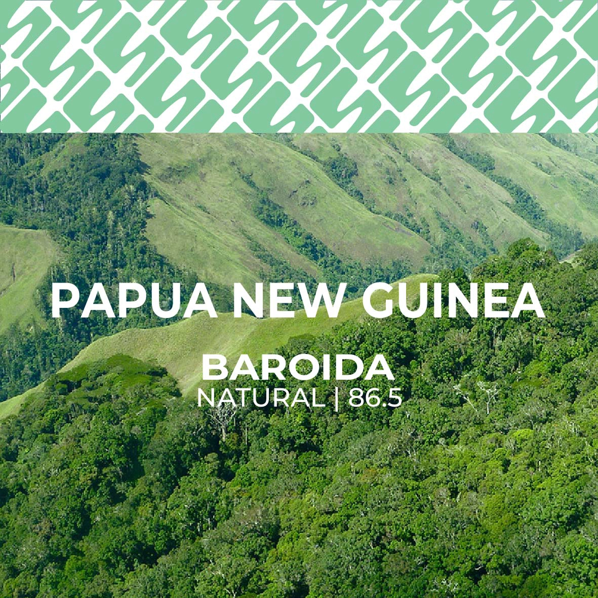 sucasu coffee covers-14 Papua New Guinea - Baroida