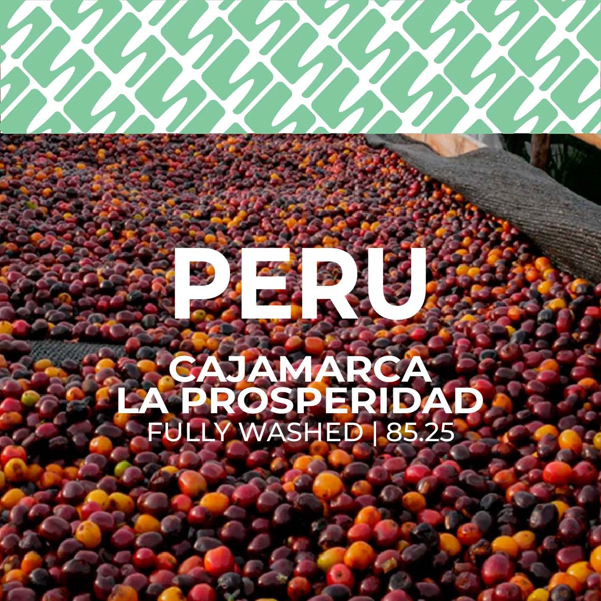 sucasu coffee covers-15 Peru - Cajamarca La Prosperidad