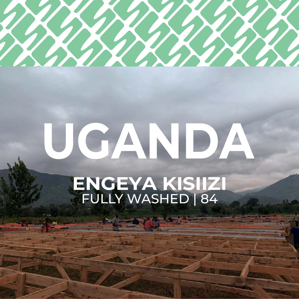 sucasu coffee covers-16 Uganda - Engeya Kisiizi